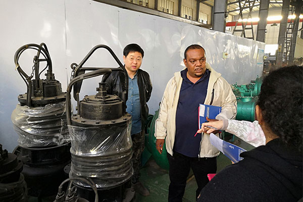 遠(yuǎn)洋牌潛水泥沙泵樣圖