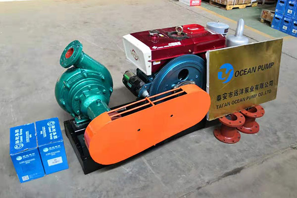 遠(yuǎn)洋牌小型抽沙機(jī)4PS樣圖