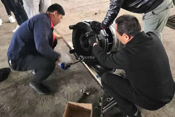 遠(yuǎn)洋牌潛水抽沙泵維護(hù)培訓(xùn)